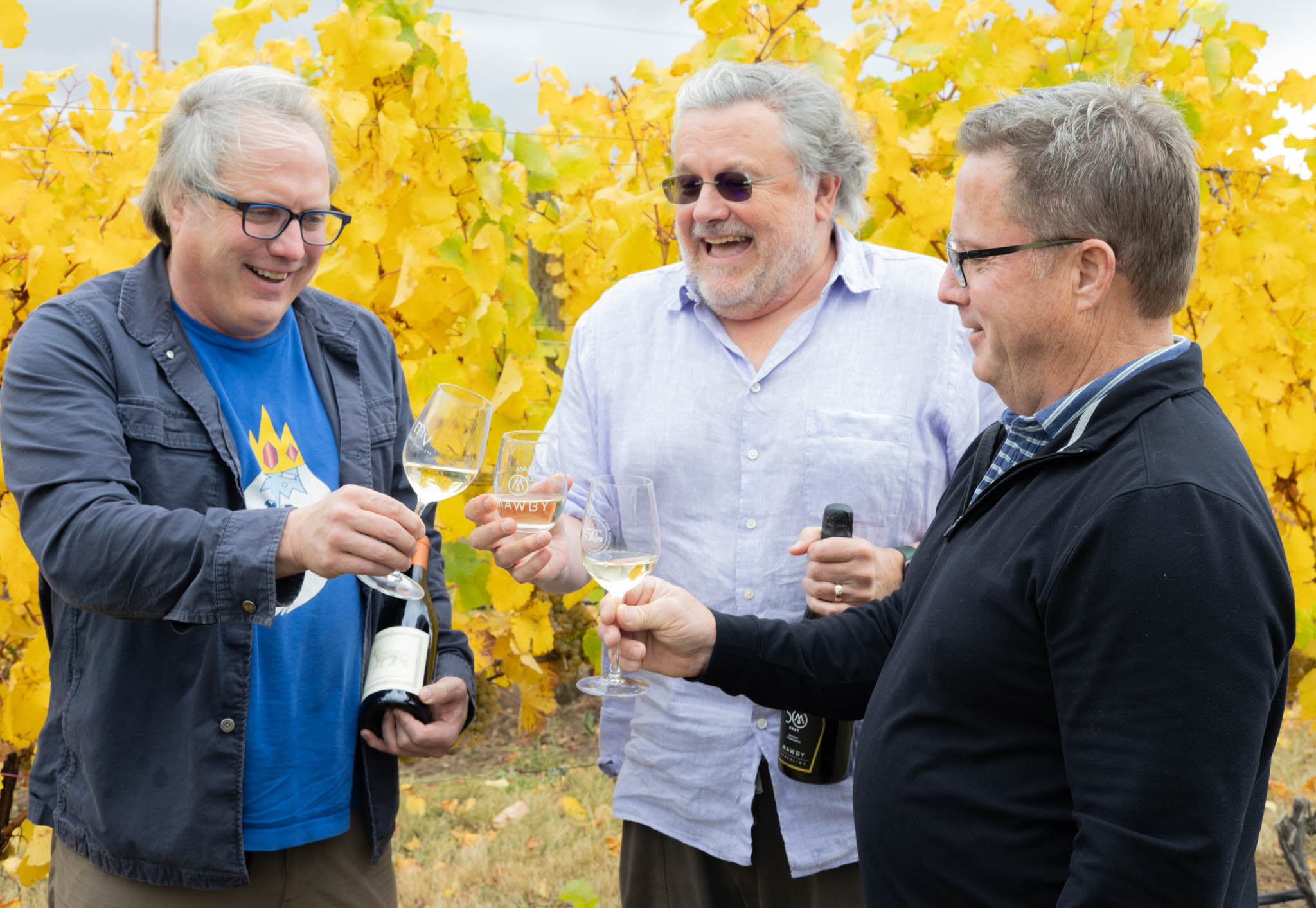 Traverse Wine Coast