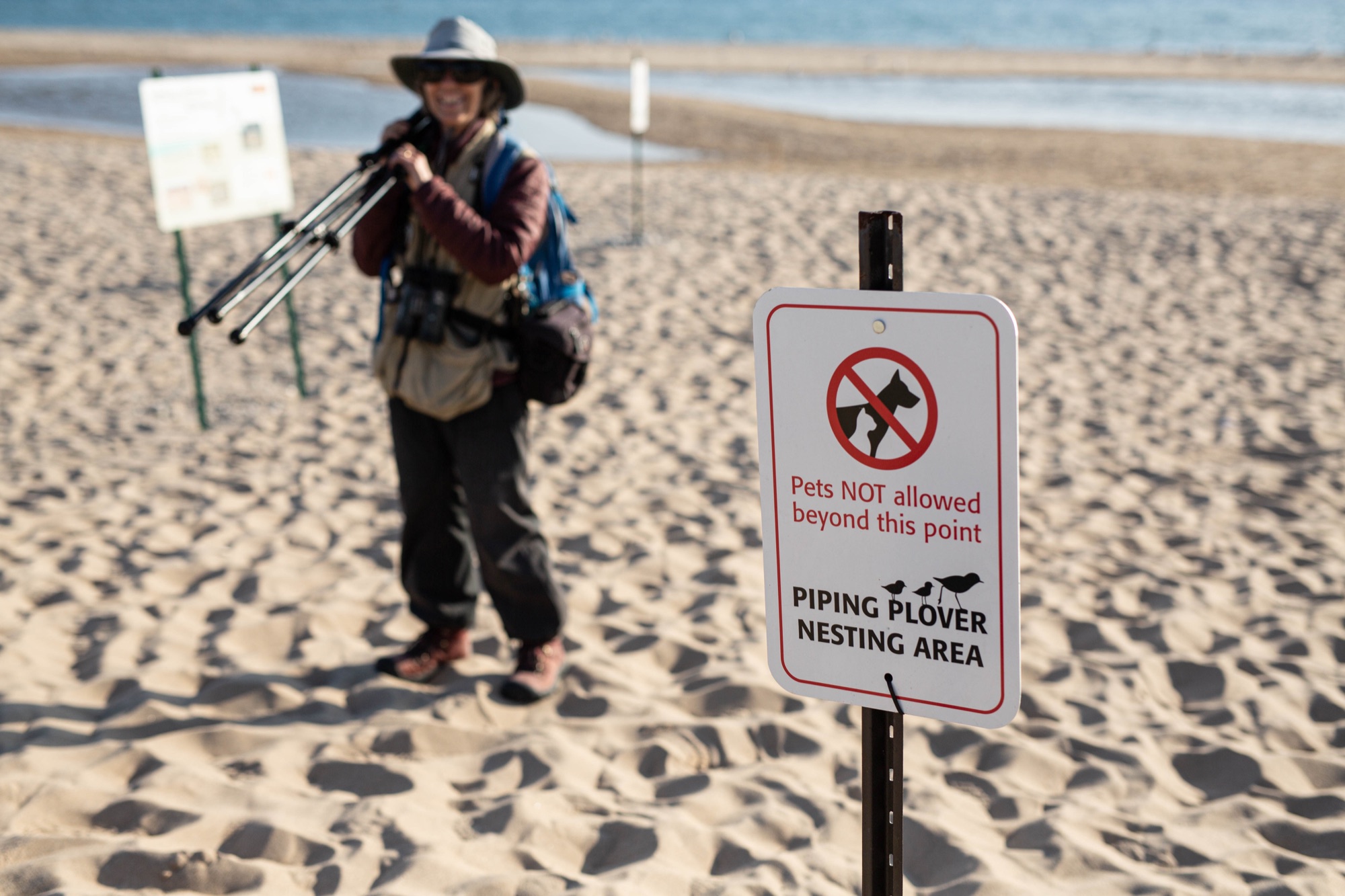 Piping Plover habitat at Sleeping Bear Dunes National Lakeshore