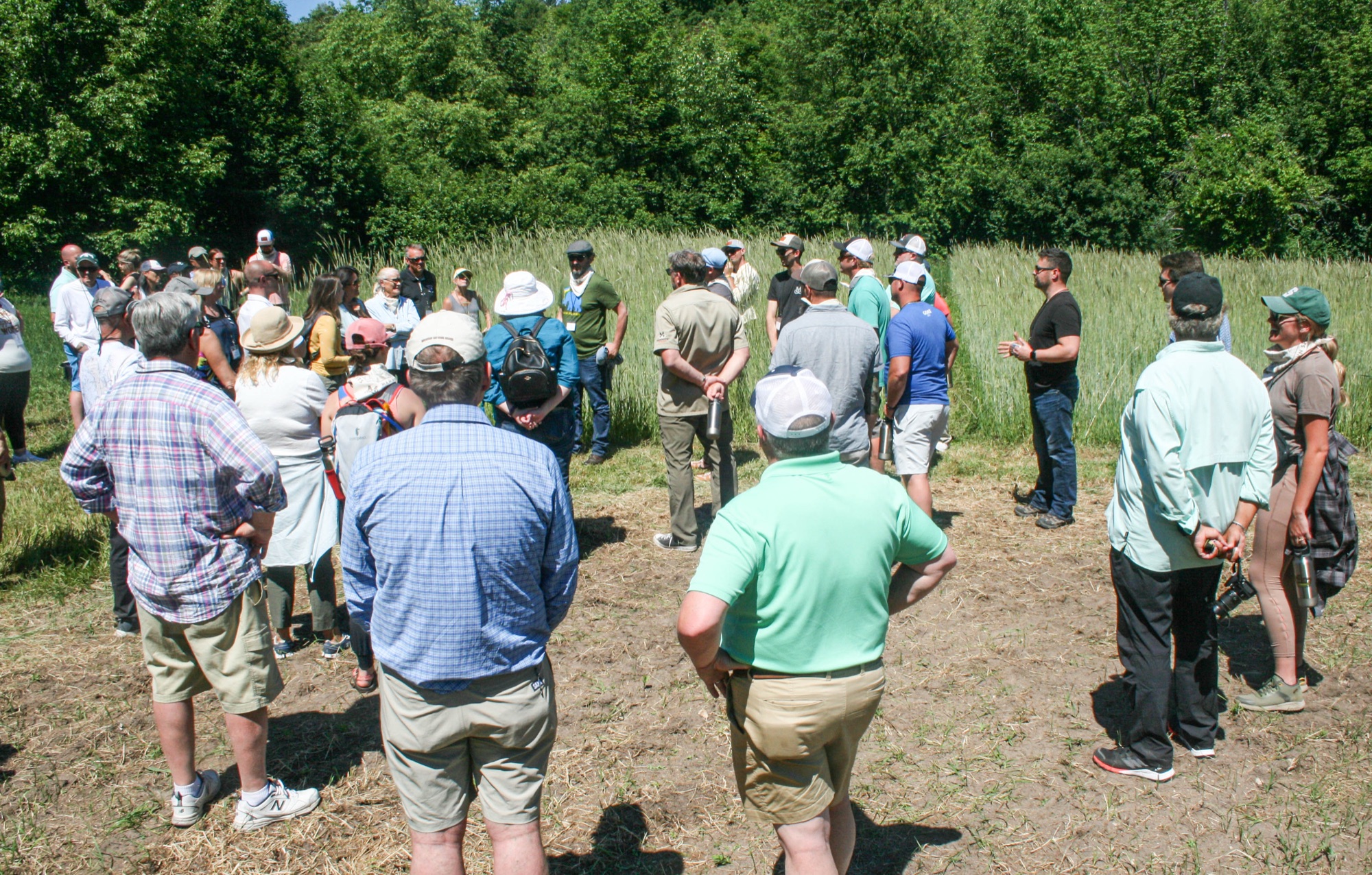 A group tours the Rosen Rye planting